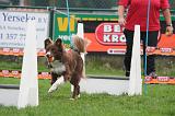 FLY BALL 013
